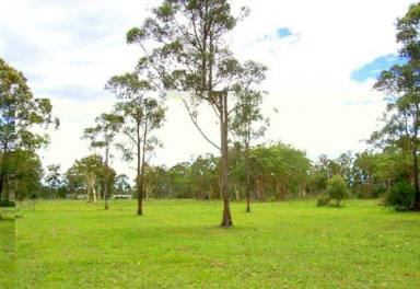Lifestyle For Sale - NSW - Johns River - 2443 - Rural Resid.15.323 ACRES 30 mins Port MacQuarie & Taree - Income Potential 2km off Pacific Hwy  (Image 2)