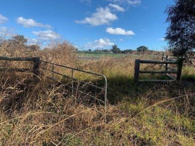 Other (Rural) Sold - NSW - Tamworth - 2340 - Tamworth 5 Acres Vacant Land Hard To Find!  (Image 2)