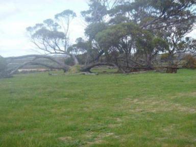 Other (Rural) For Sale - WA - Gnowangerup - 6335 - 2 X 1000 ACRE BLOCKS - BUY ONE OR BOTH - IDEAL GRAZING / HOBBY FARM / WEEKENDER!  (Image 2)