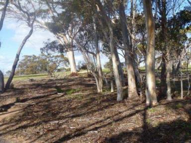Other (Rural) For Sale - WA - Gnowangerup - 6335 - 2 X 1000 ACRE BLOCKS - BUY ONE OR BOTH - IDEAL GRAZING / HOBBY FARM / WEEKENDER!  (Image 2)