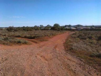 Residential Block For Sale - SA - Whyalla Norrie - 5608 - Calling All Investor and Developer  (Image 2)