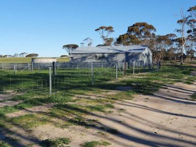 Mixed Farming For Sale - WA - Pingrup - 6343 - Cairlocup - North Needilup - 984 ha  (Image 2)