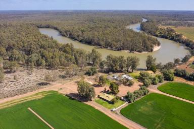 Mixed Farming For Sale - NSW - Euston - 2737 - Meilman East Station - MURRAY RIVER COUNTRY  (Image 2)