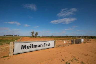 Mixed Farming For Sale - NSW - Euston - 2737 - Meilman East Station - MURRAY RIVER COUNTRY  (Image 2)