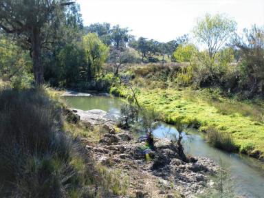 Lifestyle For Sale - NSW - Quirindi - 2343 - 35 ACRES, VIEWS & CREEK FRONTAGE  (Image 2)