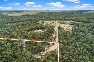 Residential Block For Sale - NSW - Tapitallee - 2540 - Large nature lovers paradise close to Nowra.  (Image 2)