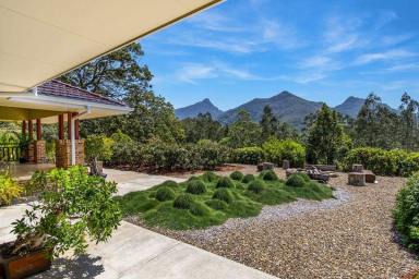 Acreage/Semi-rural For Sale - NSW - Uki - 2484 - "Magnolia Grove Estate"  -  Perfectly located between Byron Bay and Gold Coast  (Image 2)