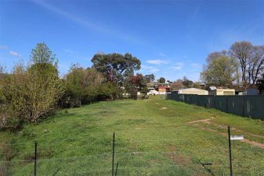 Residential Block For Sale - NSW - Tumut - 2720 - Huge house block or develop  (Image 2)