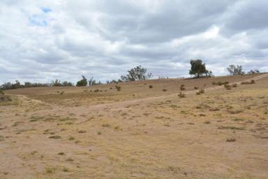 Mixed Farming For Sale - NSW - Euston - 2737 - Huge potential for permanent plantings and house rights  (Image 2)
