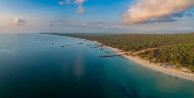 Lifestyle For Sale - QLD - Iron Range - 4892 - Rainforest Acreage FOR SALE. Newly Subdivided Only 10 BLOCKS (Now just 7 left). Last Freehold East Coast Blocks For Sale In North Queensland !  (Image 2)