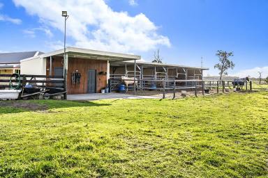 Lifestyle For Sale - VIC - Heywood - 3304 - Rural 5-bedroom Equine Haven  (Image 2)