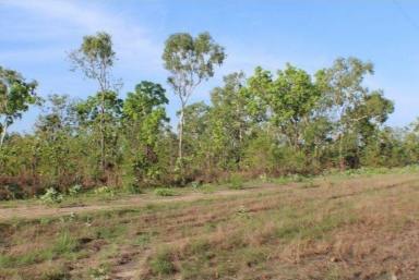 Residential Block Sold - NT - Blackmore - 0822 - Beautiful Block of Land to Build on  (Image 2)