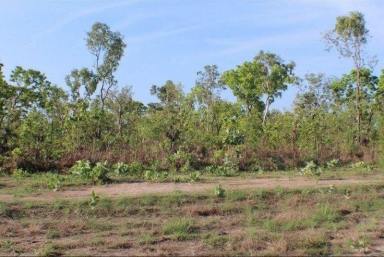 Residential Block Sold - NT - Blackmore - 0822 - Beautiful Block of Land to Build on  (Image 2)