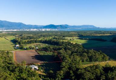 Other (Rural) For Sale - QLD - Glen Boughton - 4871 - Mixed Farming 6.48 Ha (Approx 16 Acres)  (Image 2)