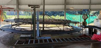 Cropping For Sale - QLD - Glen Boughton - 4871 - Banana Farm and Packing Shed Far North Qld  (Image 2)