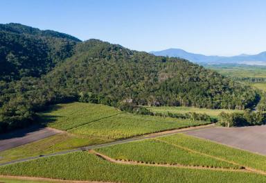 Lifestyle For Sale - QLD - East Trinity - 4871 - Own Your Piece of Far North Queensland  (Image 2)