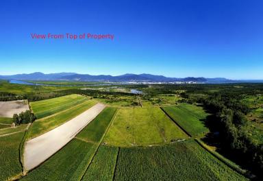 Lifestyle For Sale - QLD - East Trinity - 4871 - Own Your Piece of Far North Queensland  (Image 2)