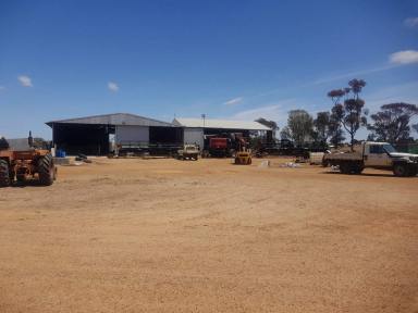 Cropping For Sale - WA - Gairdner - 6337 - Investment Farm with Lease in Place  (Image 2)