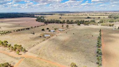 Acreage/Semi-rural For Sale - NSW - Ballimore - 2830 - Perfect Family on Mixed Farmland  (Image 2)
