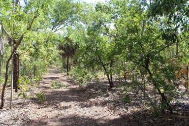 Residential Block For Sale - NT - Darwin River - 0841 - Vacant Land 320 Acres zoned rural  (Image 2)