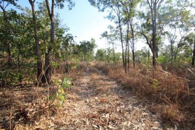 Residential Block For Sale - NT - Darwin River - 0841 - Vacant Land 320 Acres zoned rural  (Image 2)