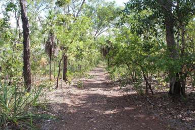 Residential Block For Sale - NT - Darwin River - 0841 - Vacant Land 320 Acres zoned rural  (Image 2)