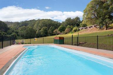 Acreage/Semi-rural For Sale - NSW - Byrrill Creek - 2484 - Tree Change with Income  (Image 2)