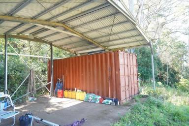 Livestock For Sale - NSW - Kyogle - 2474 - HIDDEN VALLEY  (Image 2)