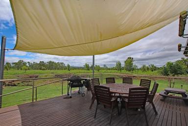 Mixed Farming For Sale - QLD - Thangool - 4716 - Renovated Country Home on 16 Acres  (Image 2)
