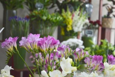 Business For Sale - VIC - Malvern East - 3145 - Established Florist Business For Sale, Malvern East  (Image 2)