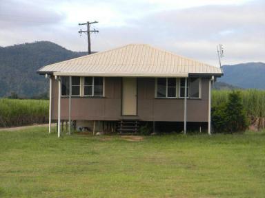 Business For Sale - QLD - Ingham - 4850 - Business, Residence & Investment all rolled into 1  (Image 2)