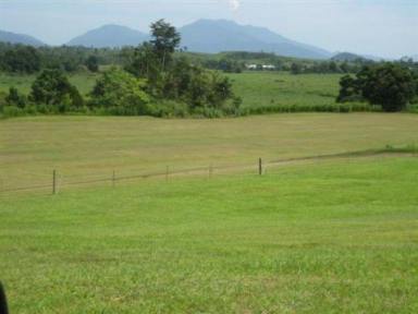 Residential Block For Sale - QLD - Innisfail - 4860 - VACANT BLOCK - (2 ACRES) - READY FOR YOUR DREAM HOME - 5 MINUTES  (Image 2)