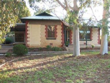 House For Sale - SA - Moorook - 5332 - WATERFRONT PROPERTY WITH STONE COTTAGE ON 1210M2 + ADJOINING VACANT BLOCK  (Image 2)