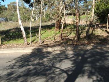 Residential Block For Sale - SA - Happy Valley - 5159 - BEAUTIFUL SUBURBAN BLOCK  WITH COUNTRY SETTING  (Image 2)