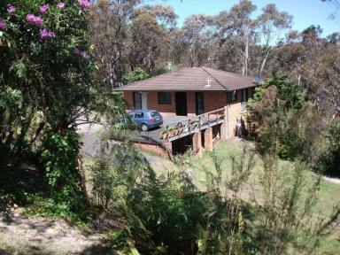 House For Sale - NSW - Hazelbrook - 2779 - 2 HOUSES FOR THE PRICE OF ONE - 1.5 ACRES AND 2 TITLES  (Image 2)