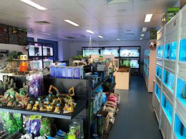 Business For Sale - SA - Glenelg East - 5045 - Looking for an aquarium business set up? Minimal risk & low set up cost.  (Image 2)