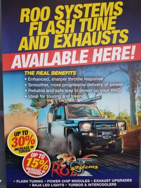 Business For Sale - QLD - Cairns - 4870 - Remapping and dyno tuning Roo Systems Franchise (Massive Price Drop) Now $39000  (Image 2)