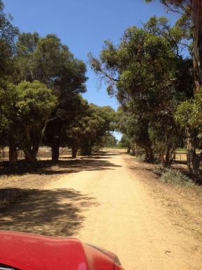 Commercial Farming For Sale - NSW - Tullakool - 2732 - Farm Opportunity  (Image 2)
