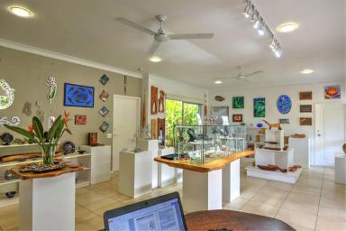 Medical/Consulting For Sale - QLD - Tolga - 4882 - COMMERCIAL PROPERTY WITH SHOP / GALLERY / SHOWROOM AND RESIDENCE  (Image 2)