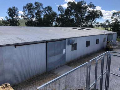 Industrial/Warehouse For Sale - NSW - Manilla - 2346 - TWO TITLES SELLING AS ONE – IDEAL FOR INDUSTRIAL / ENGINEERING BUSINESS  (Image 2)