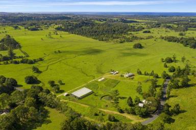 Residential Block For Sale - NSW - Myocum - 2481 - Perfect Polo Estate  (Image 2)