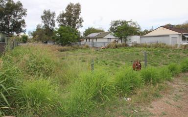 Residential Block For Sale - NSW - Moree - 2400 - JUST ADD A HOUSE  (Image 2)