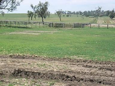 Other (Rural) For Sale - NSW - Warialda - 2402 - GOO AGRICULTURAL LAND  (Image 2)