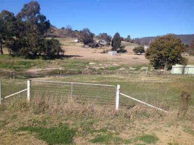 Residential Block For Sale - NSW - Adelong - 2729 - TRANQUILITY IN TOWN - 1012m2  (Image 2)