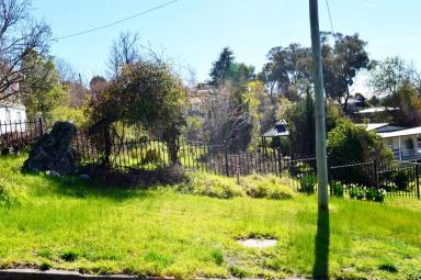 Residential Block For Sale - NSW - Tumut - 2720 - Views & Location!  (Image 2)