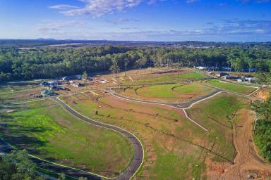 Residential Block For Sale - NSW - Port Macquarie - 2444 - Centrally Located Land Close to Town  (Image 2)
