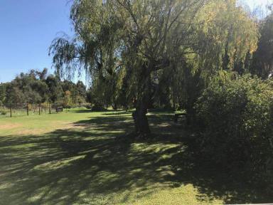 Residential Block For Sale - WA - Donnybrook - 6239 - Beautiful Big Half Acre Block  (Image 2)