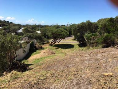 Residential Block For Sale - VIC - Sandy Point - 3959 - Backing onto the coastal reserve.  (Image 2)