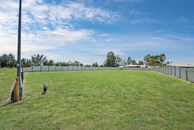Residential Block For Sale - NSW - Quirindi - 2343 - READY TO BUILD  (Image 2)