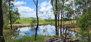 Lifestyle For Sale - QLD - Gin Gin - 4671 - Great block with lots of possibilities  (Image 2)